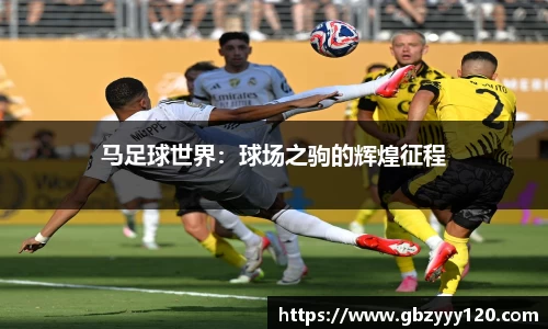 星空·综合体育官方网站